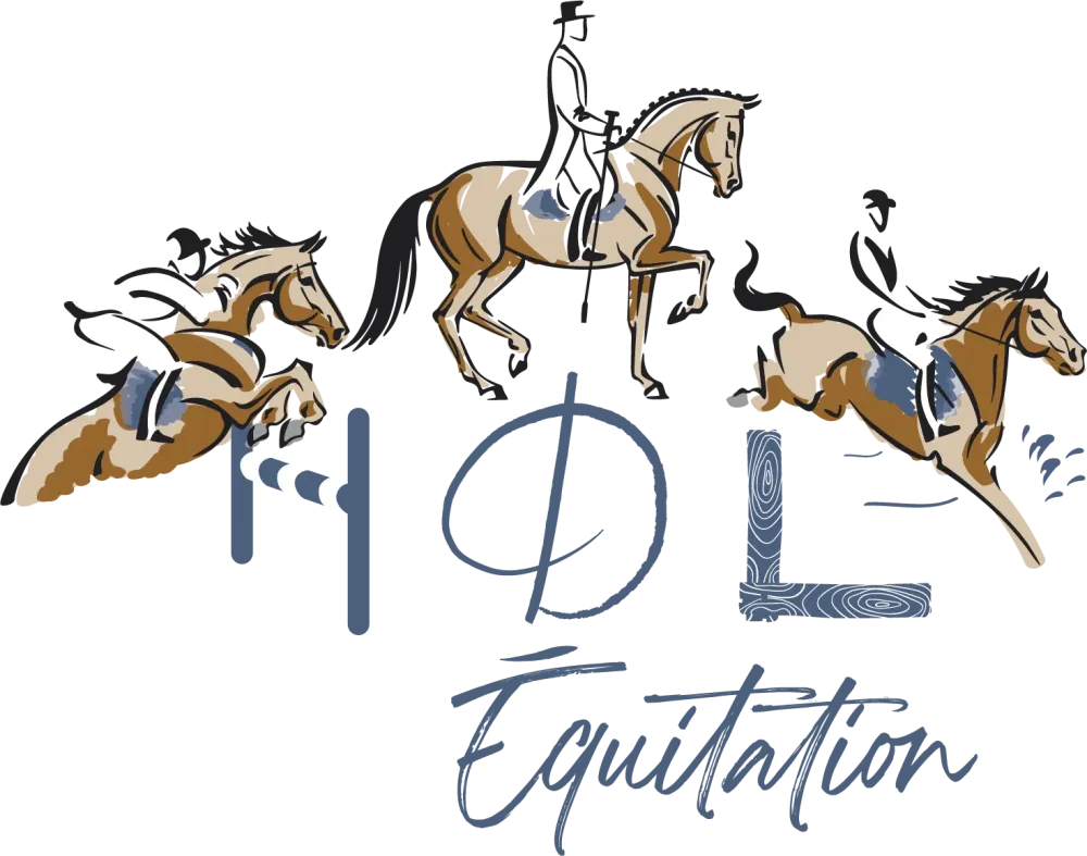 HDL_logo_quadri