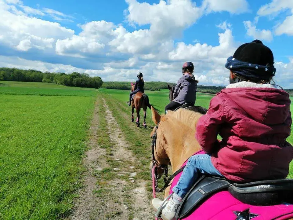 Baby poney à Milly-la-Forêt