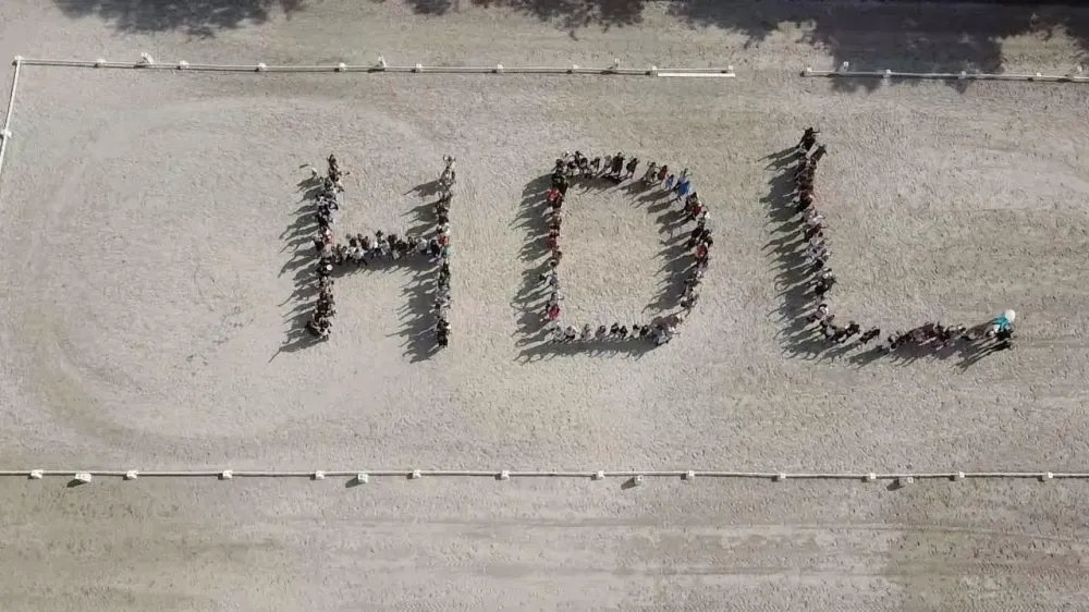 Univers HDL