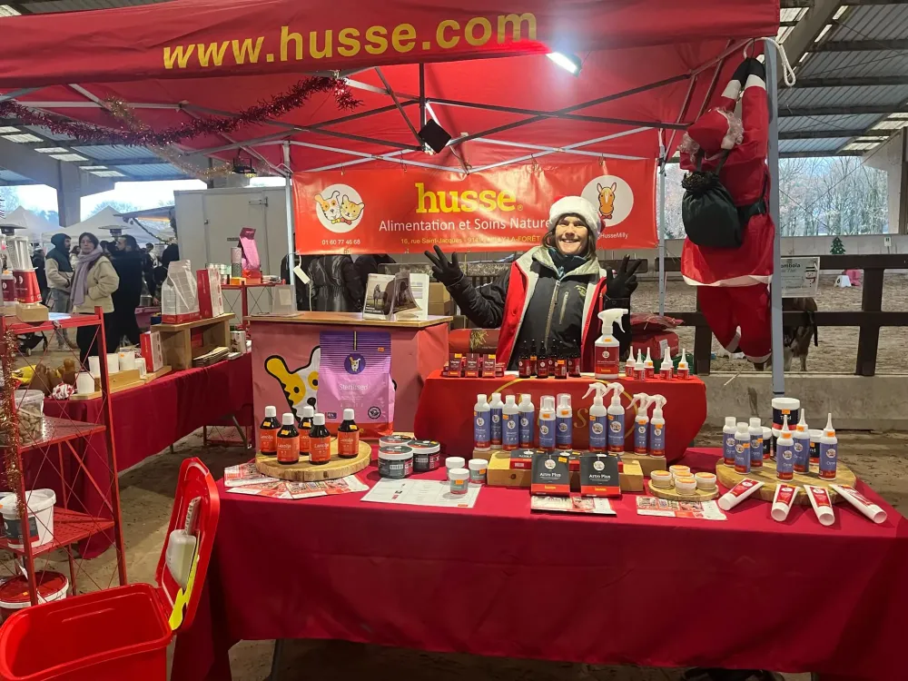 Marché de Noel  2